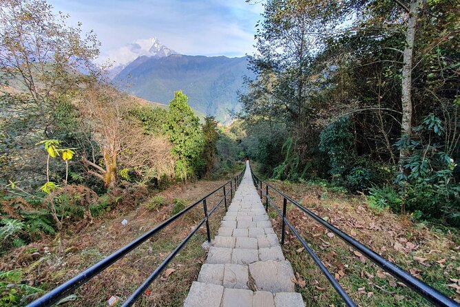 Annapurna Poon Hill Sunrise Trek - Trek Difficulty Level