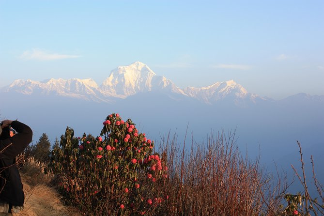 Annapurna Poon Hill Trekking - 4 Days From Pokhara - Reviews and Ratings