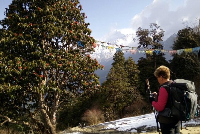 Annapurna Sunrise Trek - Meals and Dining