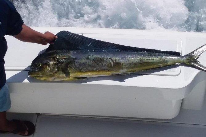 AquaQuepos Sport Fishing, Full Day Offshore Fishing - Inclusions