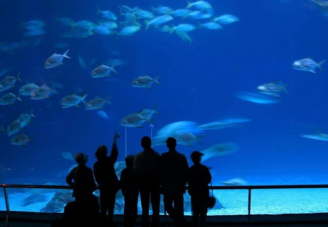 Aquarium De Paris & Self-Guided Eiffel Tower Tour - Eiffel Tower Self-Guided Tour Details