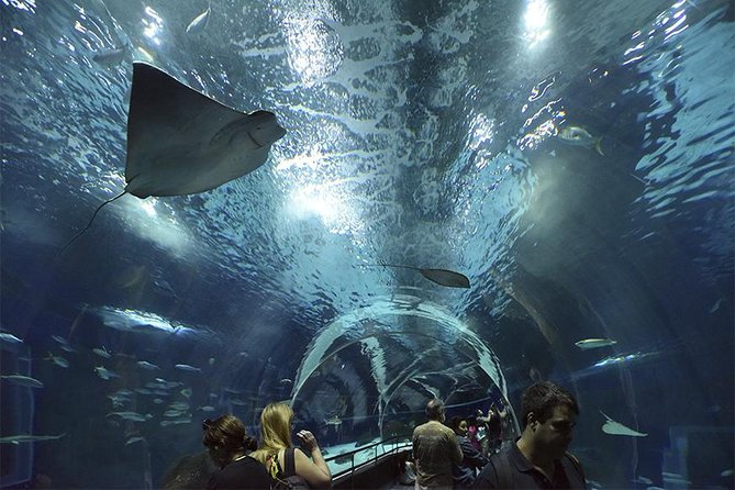 Aquarium Tour - Rio De Janeiro - Customer Support Services