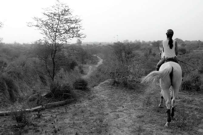 Aravali Trail Experience( Jungle Safari Forest Area)- Horseback Riding - Horseback Riding Experience Details