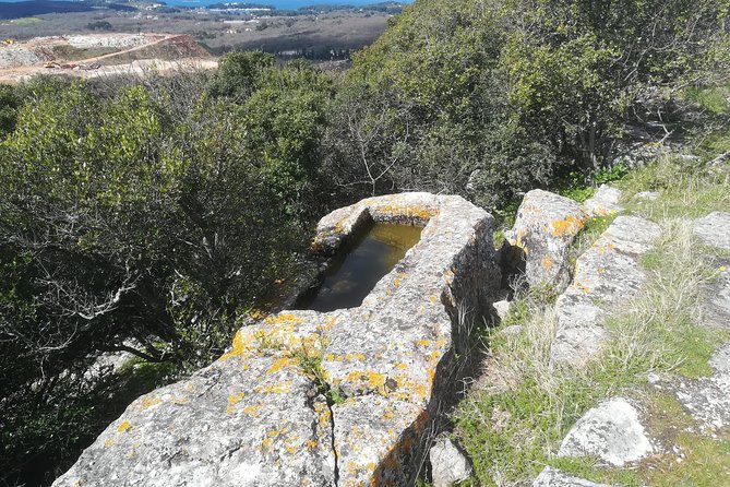Archaeological Tour Near Poreč - Tour Itinerary and Activities