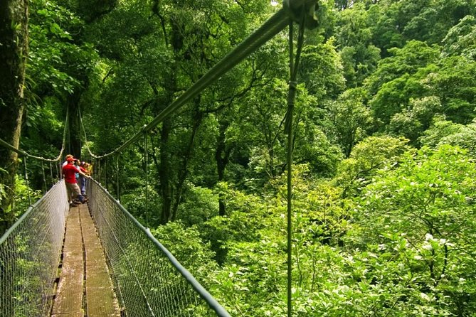 Arenal Volcano Rainforest Walk and Hot Springs - Tour Highlights