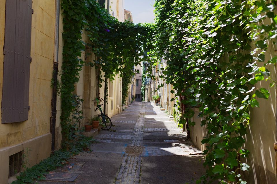 Arles 2-Hour Private Walking Tour - Cancellation Policy and Private Tours