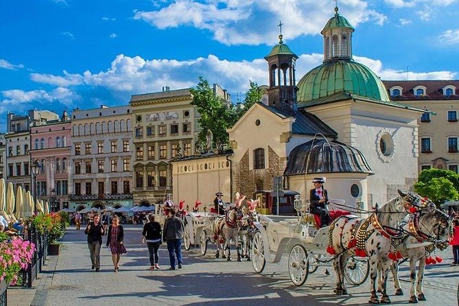 Arrival Private Transfer From Krakow Airport KRK to Krakow City in Luxury Van - Luxury Van Transfer Features