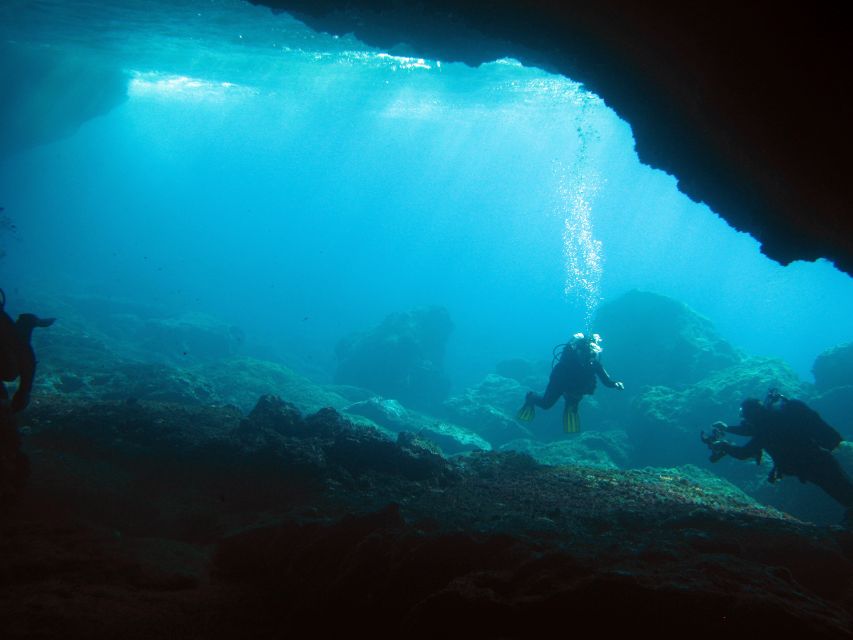 Athens: Adventure Dives in Nea Makri for Certified Divers - Dive Highlights and Description