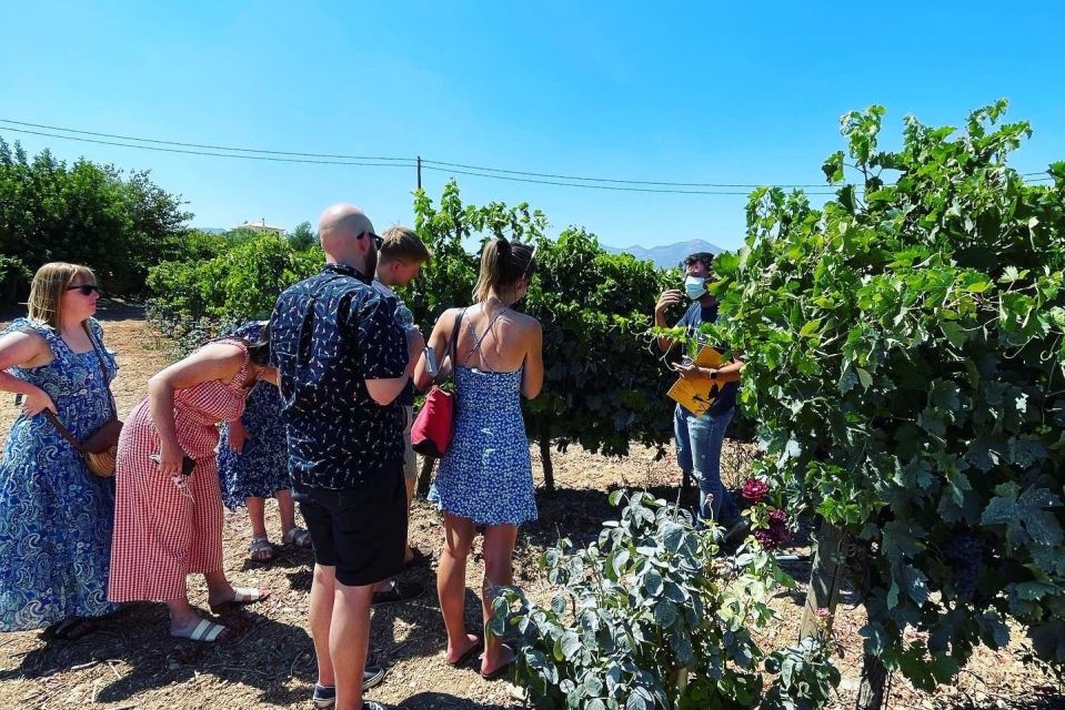 Athens: Wine Tour - Activity Highlights