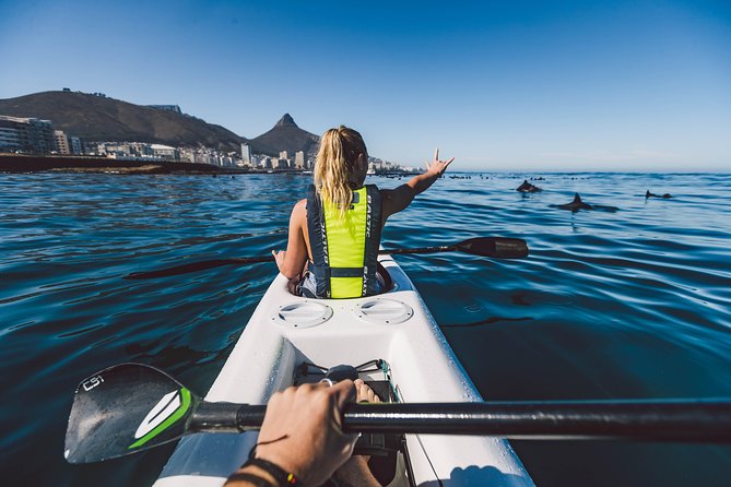 Atlantic Outlook Kayak Tour Cape Town - Tour Overview and Inclusions