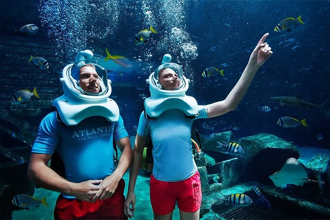 Atlantis Lost-Chamber Aquarium Dubai - Review by Viator Traveler