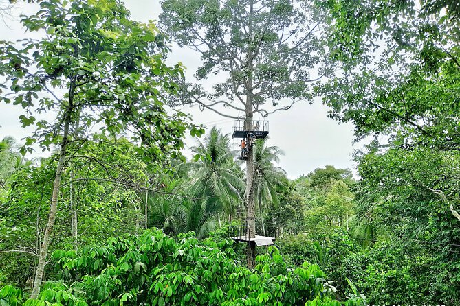 ATV and Zipline Experience on Koh Samui With Transfer - Meeting and Pickup Details