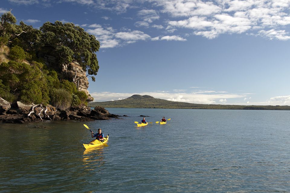 Auckland: Half-Day Sea Kayak Tour to Motukorea Island - Tour Description