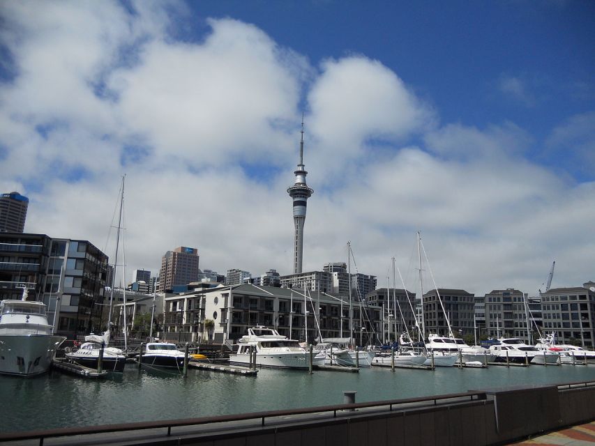 Auckland Self-Guided Audio Tour - Tour Experience