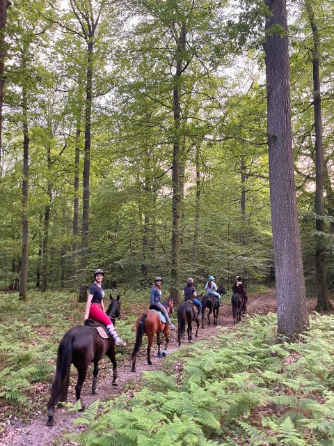 Aumont-En-Halatte: Horseback Riding in the Forest Near Paris - Provider Details