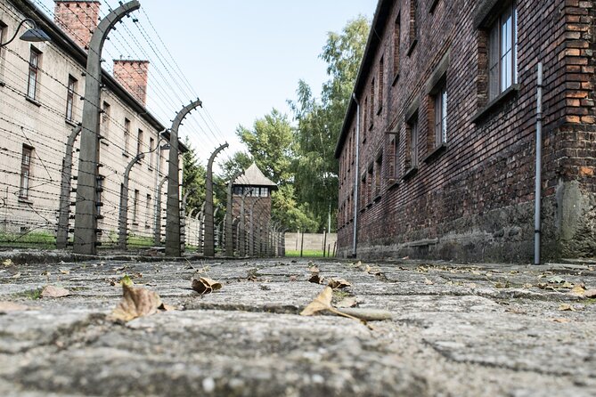 Auschwitz & Birkenau: Live-Guided Tour With Transportation and Hotel Pickup - Tour Inclusions and Itinerary