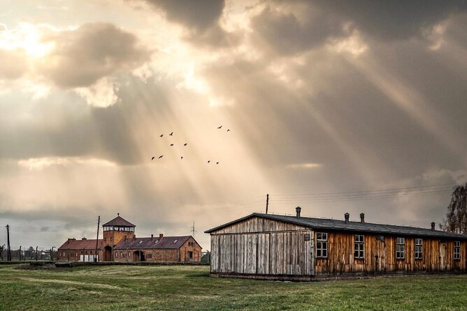 Auschwitz-Birkenau Memorial and Museum Guided Tour - Private Transport - Tour Inclusions and Overview