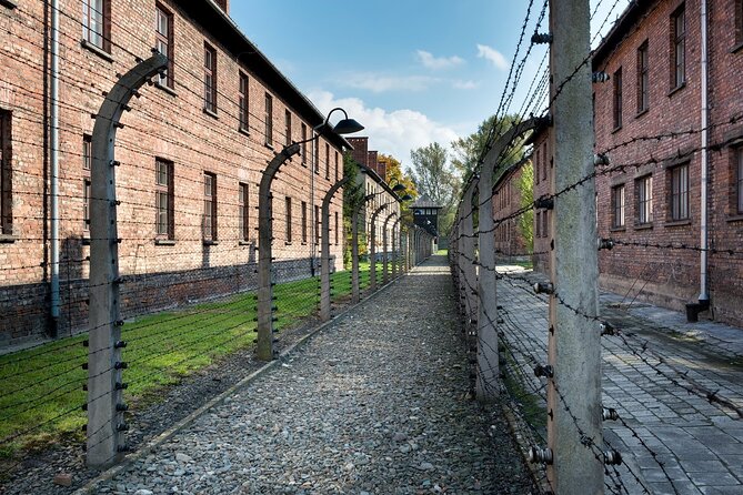 Auschwitz-Birkenau Memorial and Wieliczka Salt Mine 1-Day Tour - Tour Inclusions