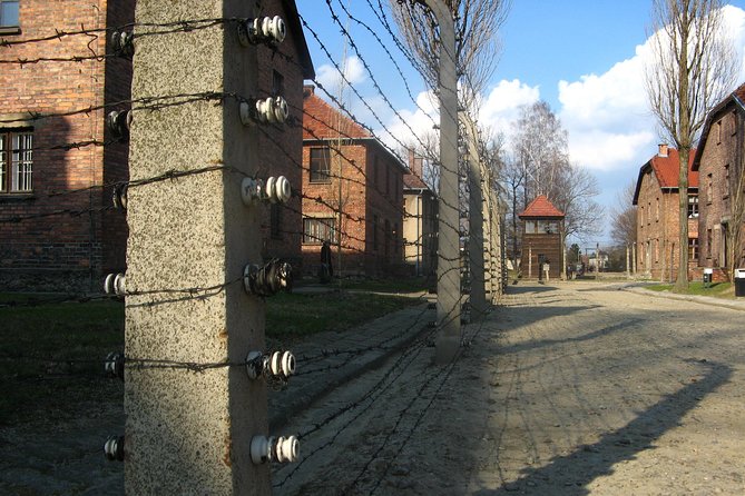 Auschwitz - Birkenau Museum Private Transfer - Round Trip - Infant Seats and Participation