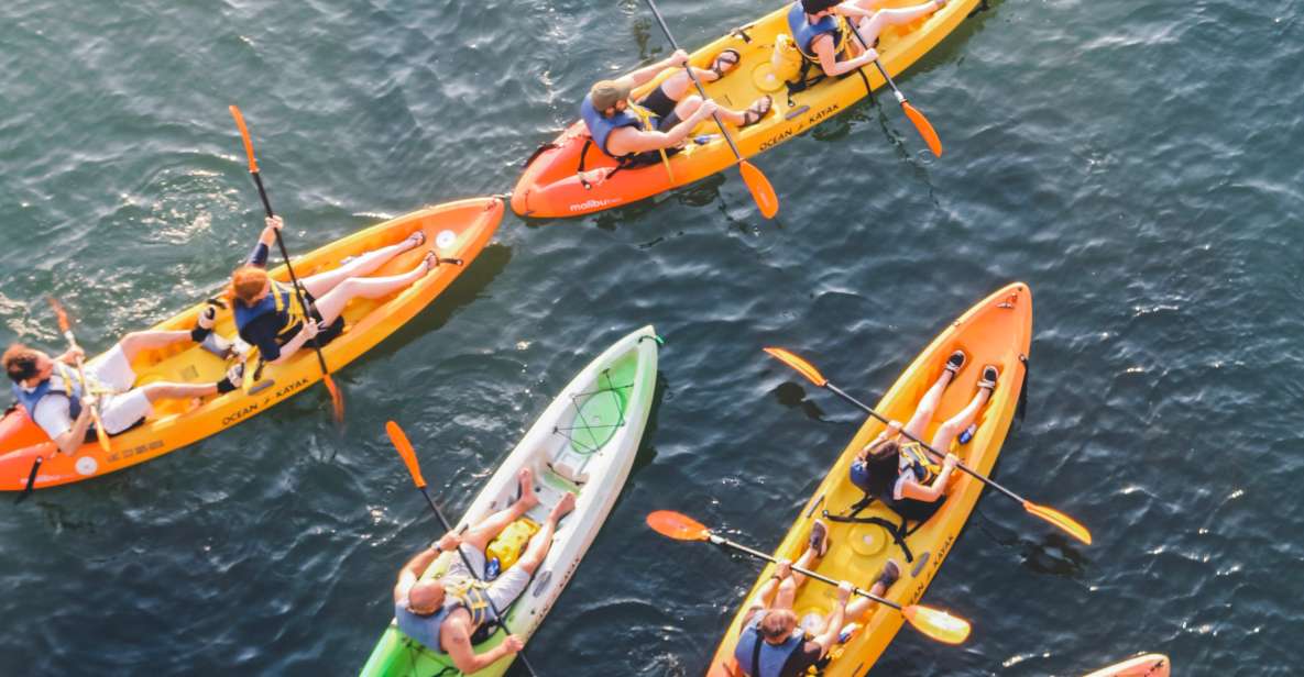 Austin: Single or Double Kayak Rental - Inclusions