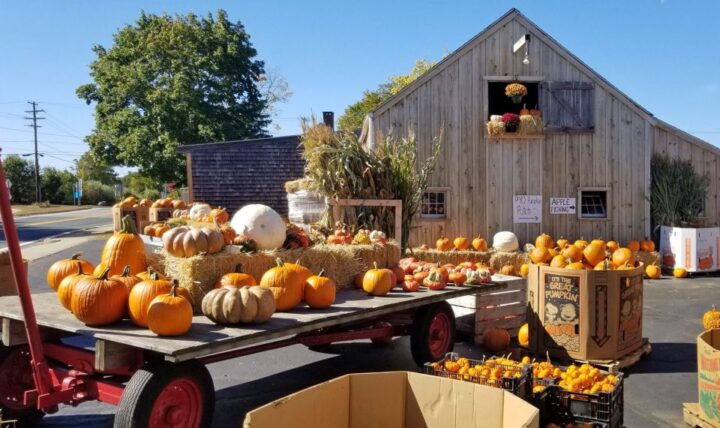 Autumn in New England - Horse-Drawn Wagon Ride Adventure