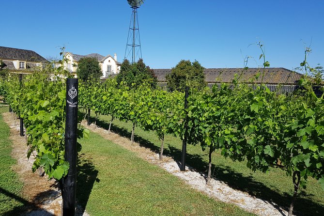 Azeitão and Alentejo Wine and Food Tour - Lunch at Family Farm