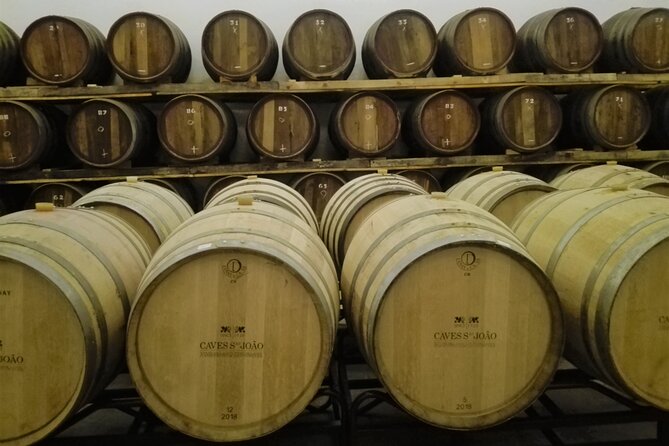 Bairrada Winery Route Experience, Full-Day From Coimbra - Vineyard Visits