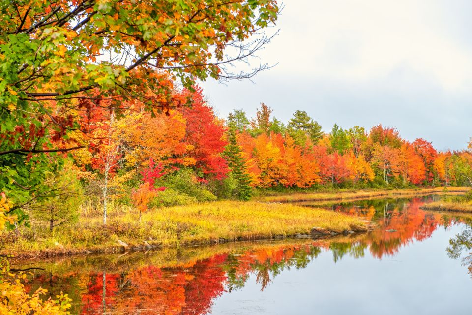 Bar Harbor: Historic Self-Guided Audio Guide Tour - Highlights of the Audio Tour