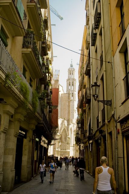 Barcelona: 4-hour Private Guided Walking Tour - Booking Information