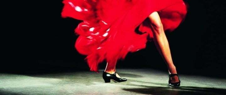 Barcelona: 4-Hour Tapas Evening Tour and Flamenco Show - Participant Information and Meeting Point