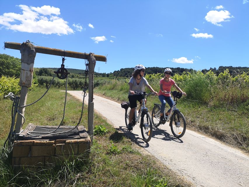 Barcelona: Bike & Wine Guided Tour - Penedès Vineyards - Experience Highlights