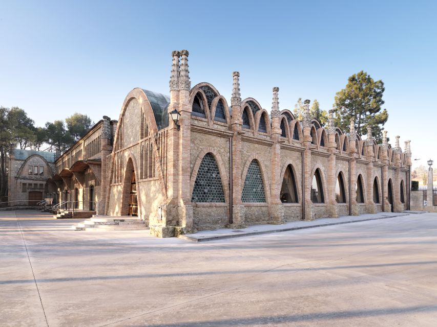 Barcelona: Caves Codorniu Winery Tour Based on Anna's Life - Experience Highlights on Annas Life