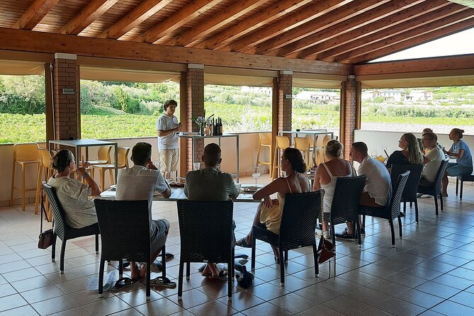 Bardolino: Vineyard Tour, Wine, Oil and Food Tasting - Vineyard Exploration