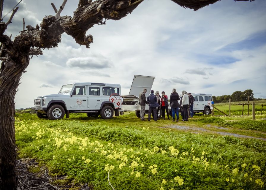 Barossa Valley: Two Hands 3 Hour Vineyard 4WD Tour With Wine - Vineyard Experience