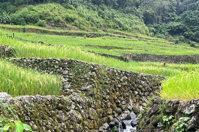 Batad Guided Tour - Tour Inclusions