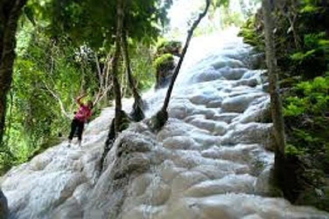 Bau Thong Waterfalls, Tea, and Wat Ban Den Private Tour - Contact and Booking Details