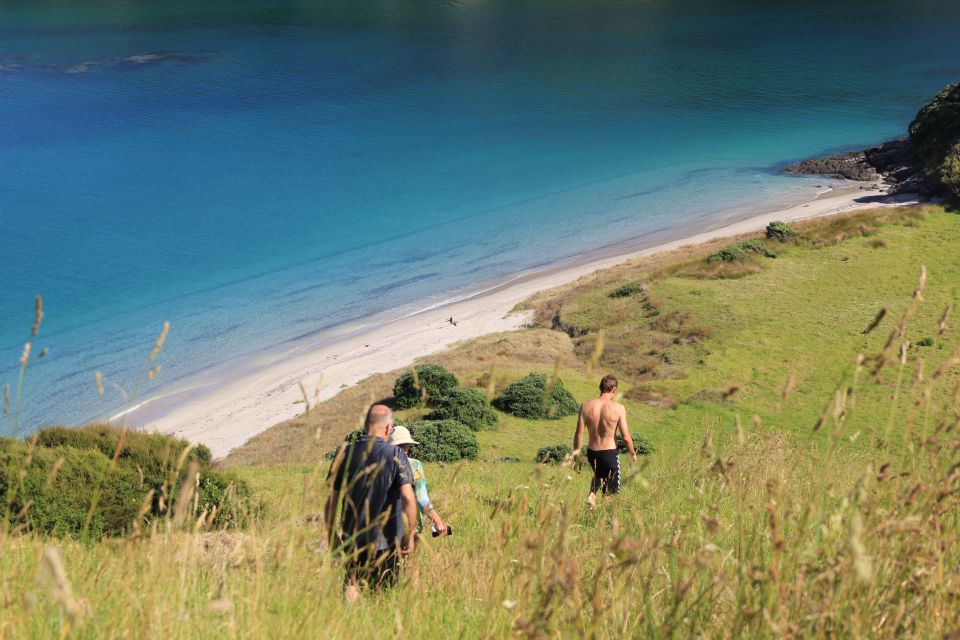 Bay of Islands: Sailing Catamaran Charter With Lunch - Sailing Experience