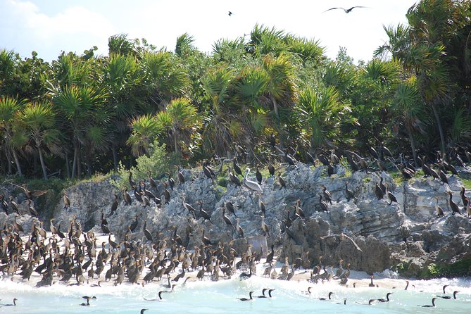 Beach Escape: Isla Contoy and Isla Mujeres With Snorkeling. - Weather Impact and Safety Measures