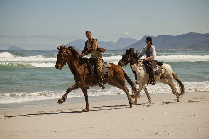 Beach Ride - Stanford - Accessibility Information