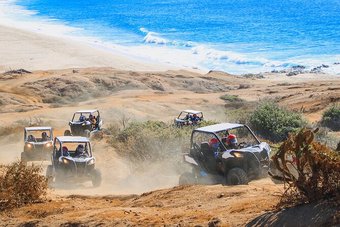 Beach UTV & Camel Ride COMBO in Cabo by Cactus Tours Park - Inclusions