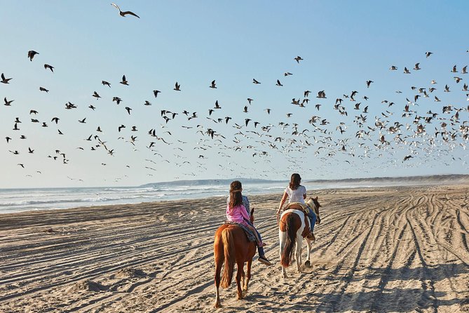 Beachfront Horseback Excursion With Barbecue Lunch  - Valparaíso - Cancellation Policy