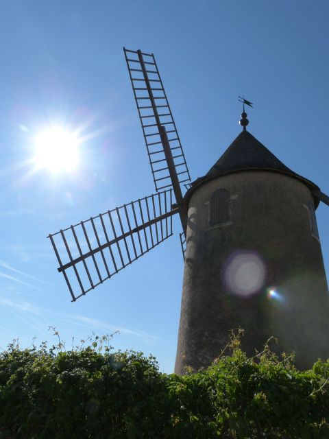 Beaujolais: Half-Day Wine Tour - Experience Highlights