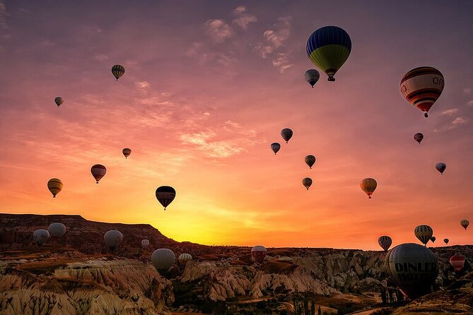 Beautiful Dubai Desert by Balloon & Falcon Show - Experience Details