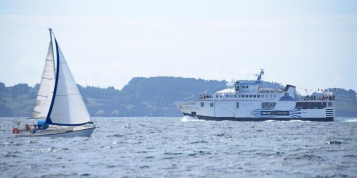 Belle-Île-en-Mer: Ferry Crossing to Sauzon - Tour Details and Accessibility