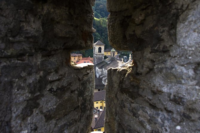 Bellinzona Private Walking Tour With Professional Guide - Inclusions
