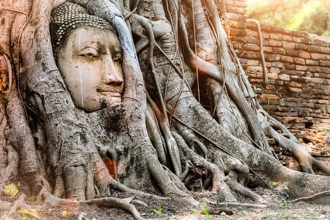 Best of Ayutthaya Private Guided Day Tour - Inclusions and Logistics