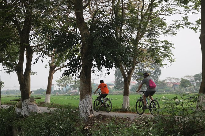 Bicycle Tour Full Day Explore Red River Delta & Rural Villages - Cycling Routes and Terrain