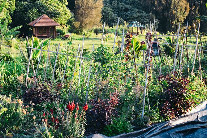 Big Island Farms Tour in Hawaii - Logistics and Details