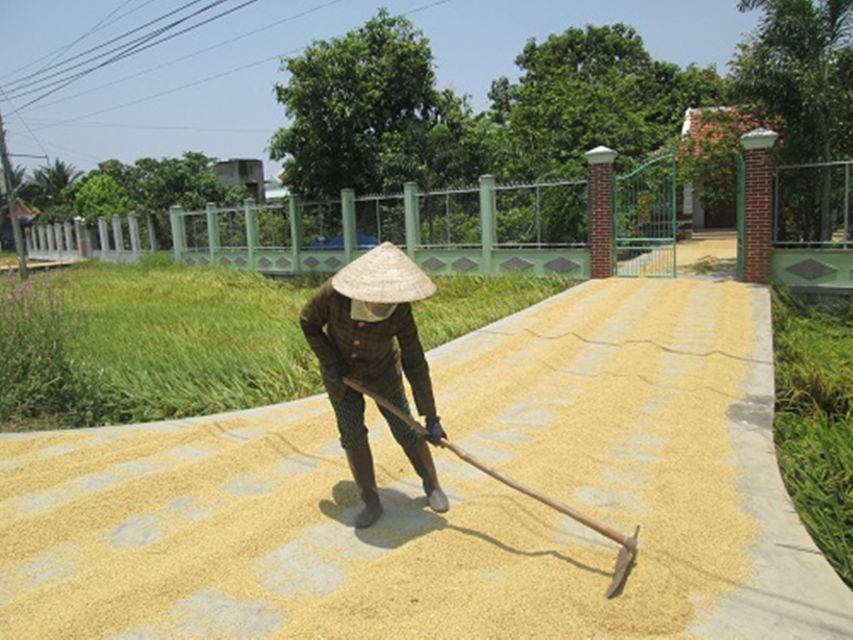 Biking Tour: Nha Trang Countryside - Experience Highlights