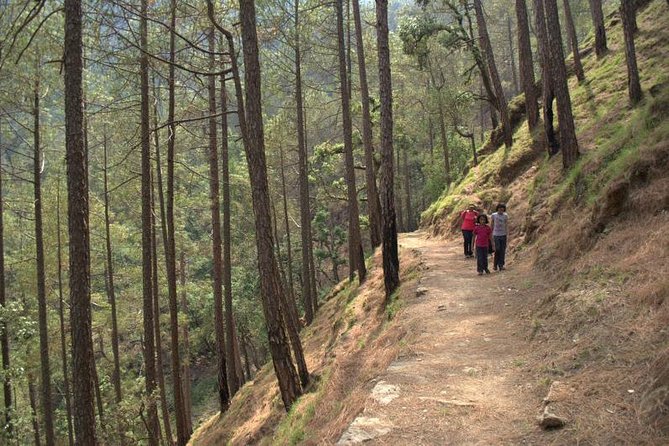 Binsar Sanctuary Walking Holiday - Wildlife Spotting Opportunities